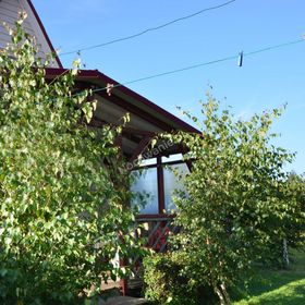 Domki holenderskie Muzyk 