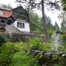 Willa Górski Pyszałek