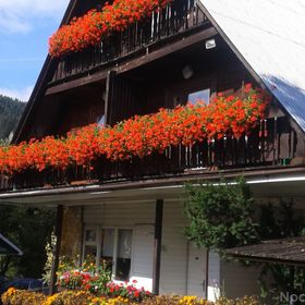 Domapol ścisłe centrum Zakopane