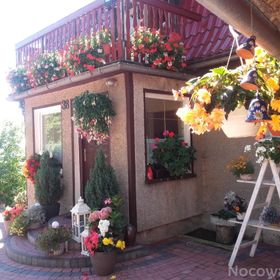 Agroturystyka Jaworowy Domek