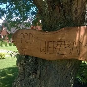 Pod Wierzbami
