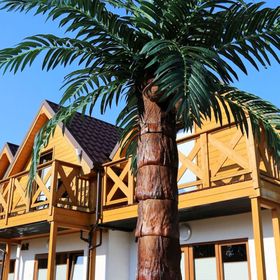 Domki wczasowe Tropikana