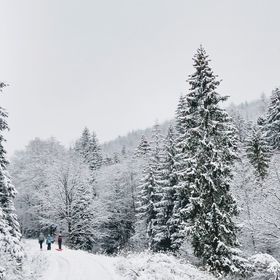 Apartamenty Siedlisko