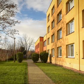 Szkolne Schronisko Młodzieżowe
