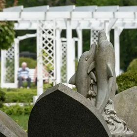 Ośrodek Rehabilitacyjny Leśna Polana