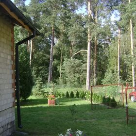 Pod Lasem