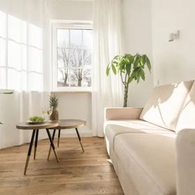  Kolorowe Pola Boutique