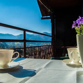 Dom na Zielonym Wzgórzu