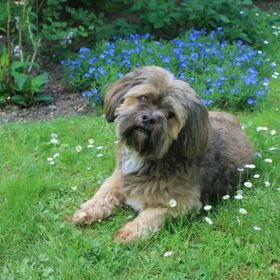 Agroturystyka U.R. Orłowscy