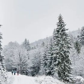 Apartamenty Siedlisko