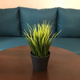 Apartament Pod Czwórką