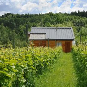 Agroturystyka i Winnica Granice