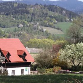 Agroturystyka Dom Skowronki