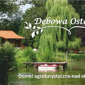 Dębowa Ostoja - domki agroturystyczne nad stawem