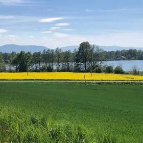 Flamandia & Willa Leśna