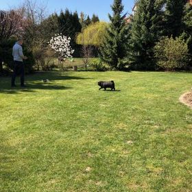 Flamandia & Willa Leśna