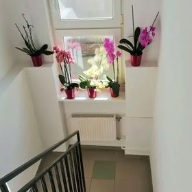 Pokoje Gościnne U Eli