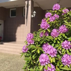 Astoria Usługi Hotelarskie