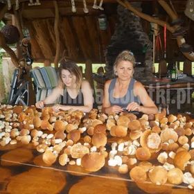 Pokoje Gościnne u Mirka i Dorotki