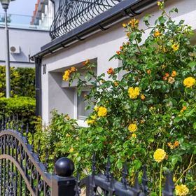 Dom Gościnny Sternik