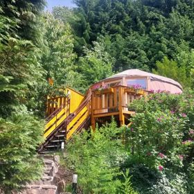 Domki i Jurta u Leśniczki