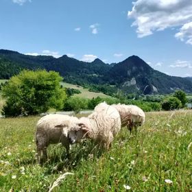 Agroturystyka Pod Zamczyskiem 