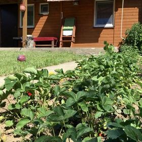 Domek i apartamenty w Mikołajkach