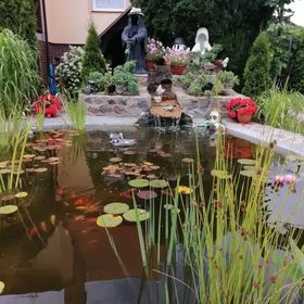 Agroturystyka Na Zaciszu