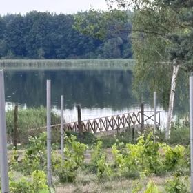 Kemping Park Winna Górka