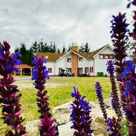 Między Nami a Sosnami Uniejów