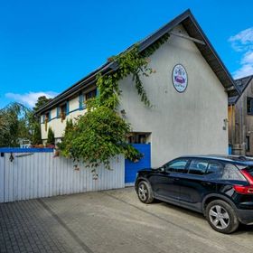 Kurka Wodna