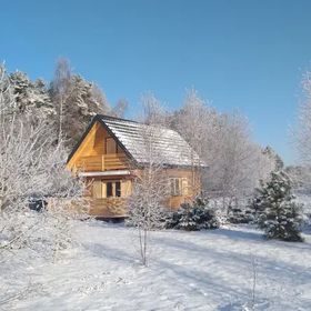 Żarek
