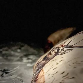 Przystań na Bryjowym