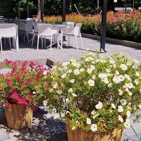 Resort Moderna Jastrzębia Góra