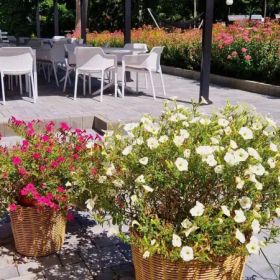 Resort Moderna Jastrzębia Góra