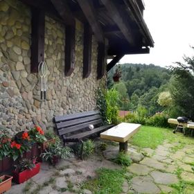 Pod Brzózką