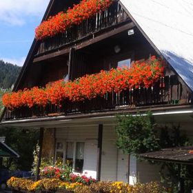 Domapol ścisłe centrum Zakopane