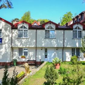 Pokoje i mieszkania pod Lwem