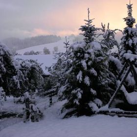 Pokoje Gościnne Rzepka 