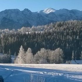 U Marka i Jadwigi