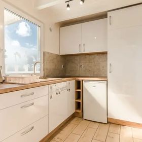 Domki na skraju lasu