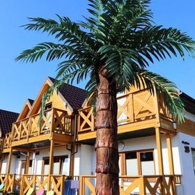 Domki wczasowe Tropikana