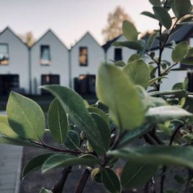 Domki apartamentowe Laba