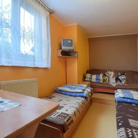 Niepubliczne Szkolne Schronisko Młodzieżowe 