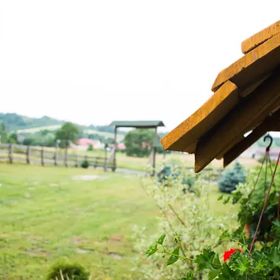 Domek do wynajęcia na Roztoczu