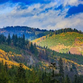 Dom Wczasowy Stalownik Gródek Nad Dunajcem