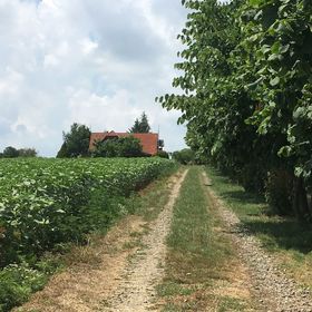 Mogyoró Sor Vendégház Kékesd