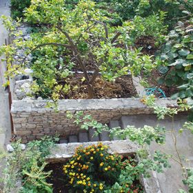 Apartmanok A Tenger Mellett Sutivan, Brac - 719 Sutivan