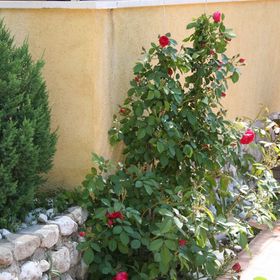 Apartmanok A Tenger Mellett Promajna, Makarska - 2674 Promajna