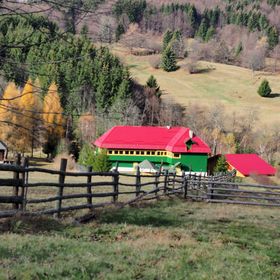 Cabana Raw Nature Vama Buzăului